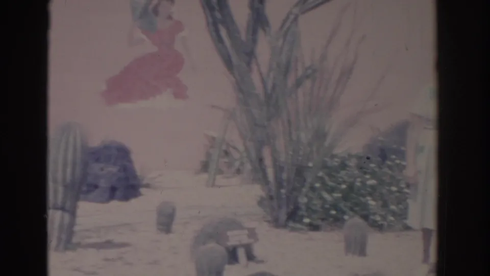 1962 Florida home-movie frame showing a desert-style garden with tall cacti, shrubs, sandy ground, and wall murals.