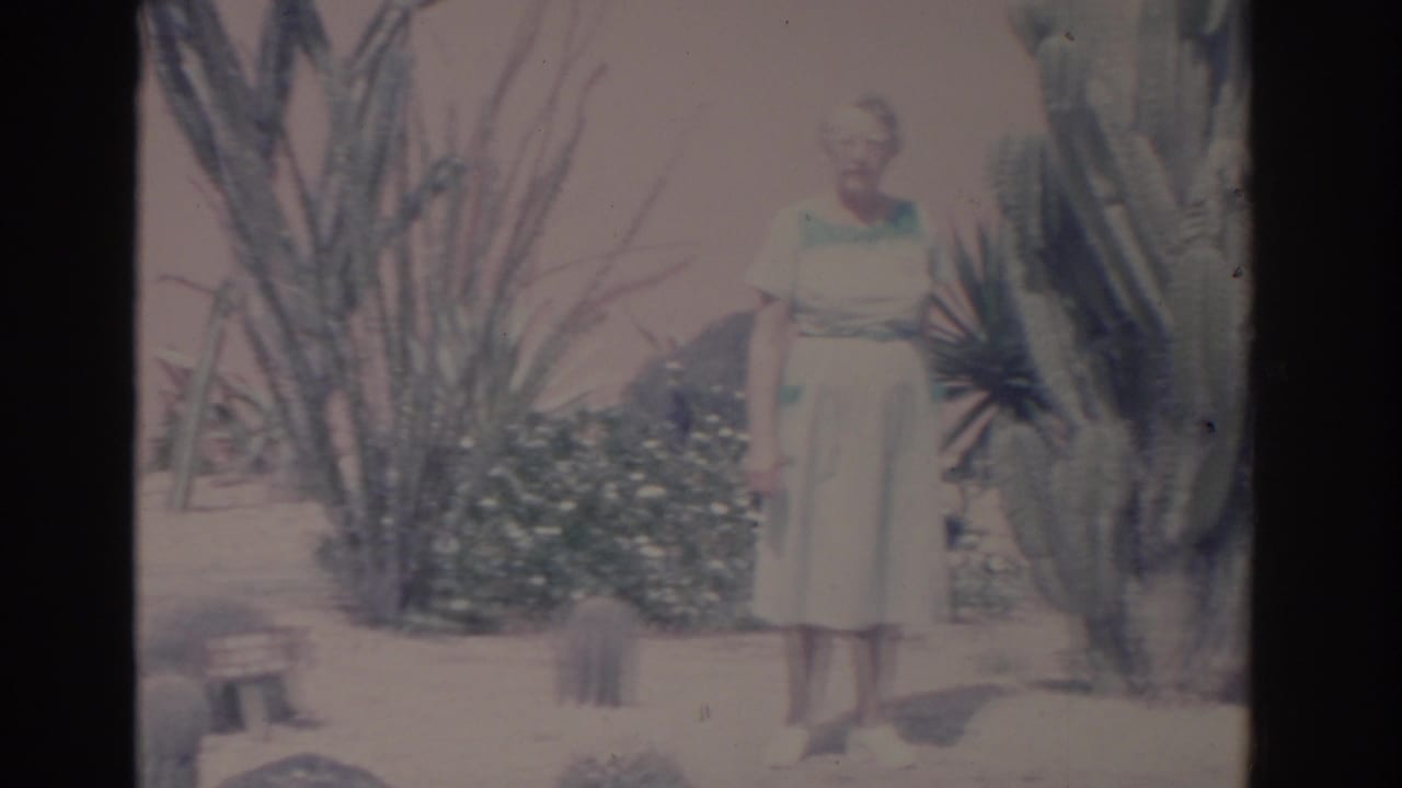 1962 Florida 8mm frame of a woman in a light dress standing beside large cactus plants in a bright garden.
