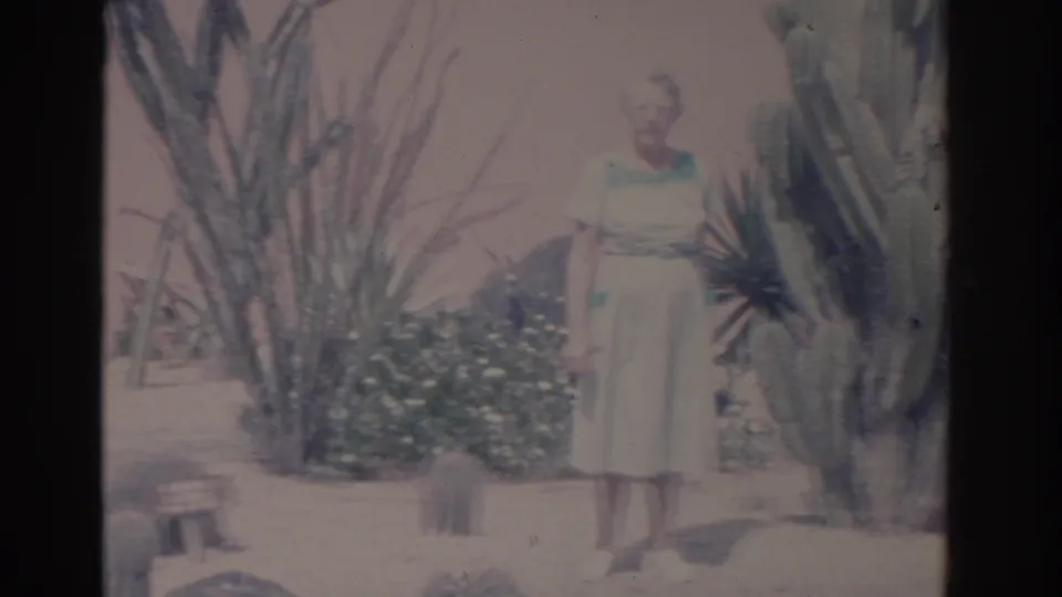 1962 Florida 8mm frame of a woman in a light dress standing beside large cactus plants in a bright garden.