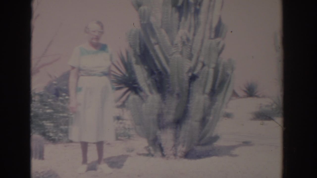 1962 Florida home-movie frame showing a woman in a light dress posed near a large cactus and desert-style landscaping.