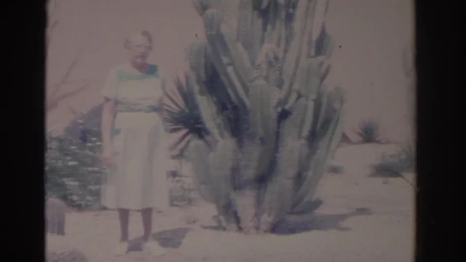 1962 Florida home-movie frame showing a woman in a light dress posed near a large cactus and desert-style landscaping.