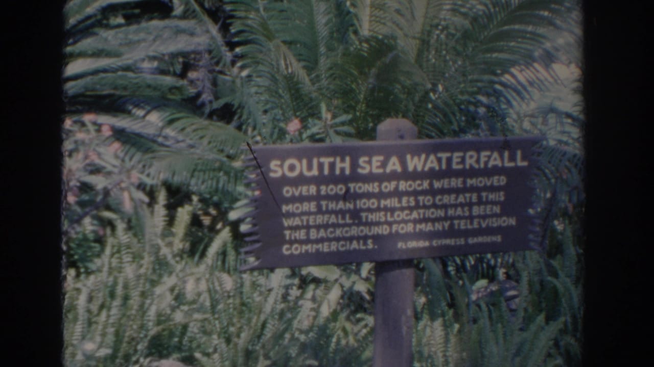 1962 Florida Cypress Gardens footage showing the South Sea Waterfall sign surrounded by tropical foliage.