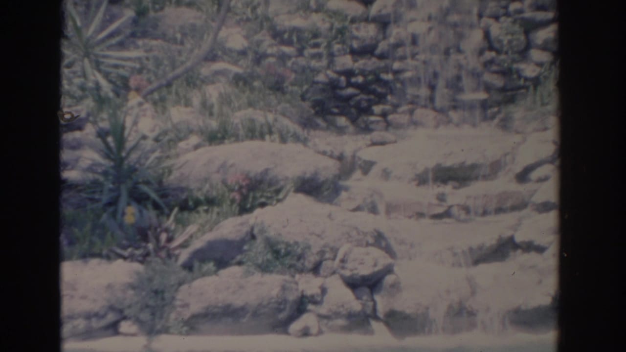 1962 Florida 8mm frame showing water cascading over pale rocks into a pool, with spiky plants and grasses around the garden edge.