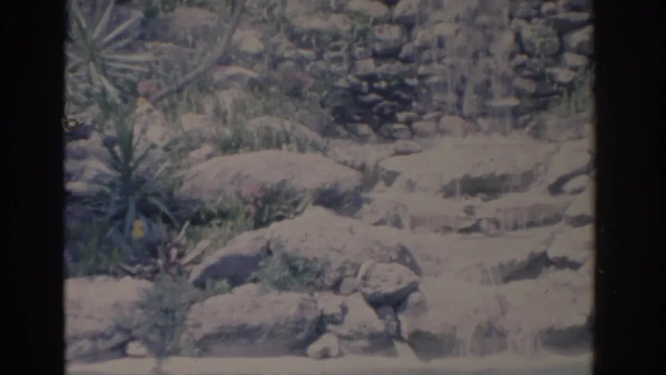 1962 Florida 8mm frame showing water cascading over pale rocks into a pool, with spiky plants and grasses around the garden edge.