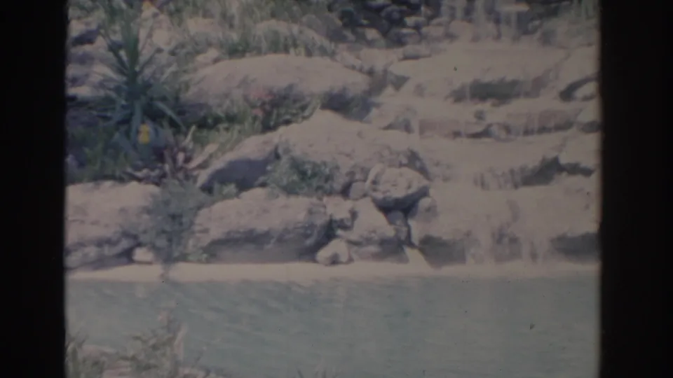 1962 Florida home-movie still of a landscaped rock waterfall, with succulents and grasses above turquoise pool water.