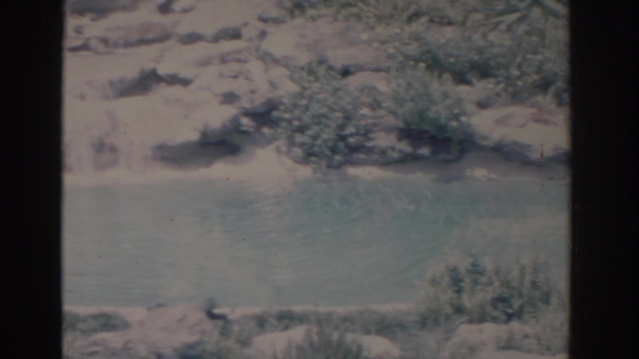 1962 Florida 8mm frame showing a rocky riverbank or pool edge with greenery and soft faded color.