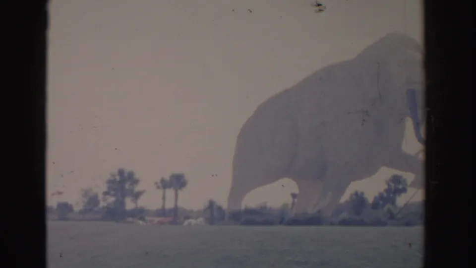 1962 Florida 8mm frame showing a large elephant sculpture or figure on open grounds, with palm trees in the background.