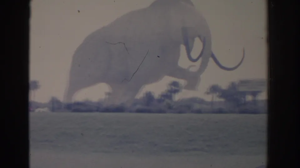 1962 Florida frame with the mammoth statue partly enlarged in view, set behind grass, shrubs, palms, and a distant sign support.