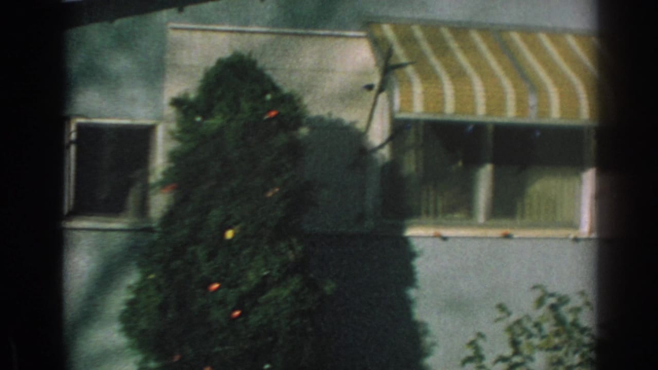 Blue trailer home with striped awning and decorated evergreen tree.