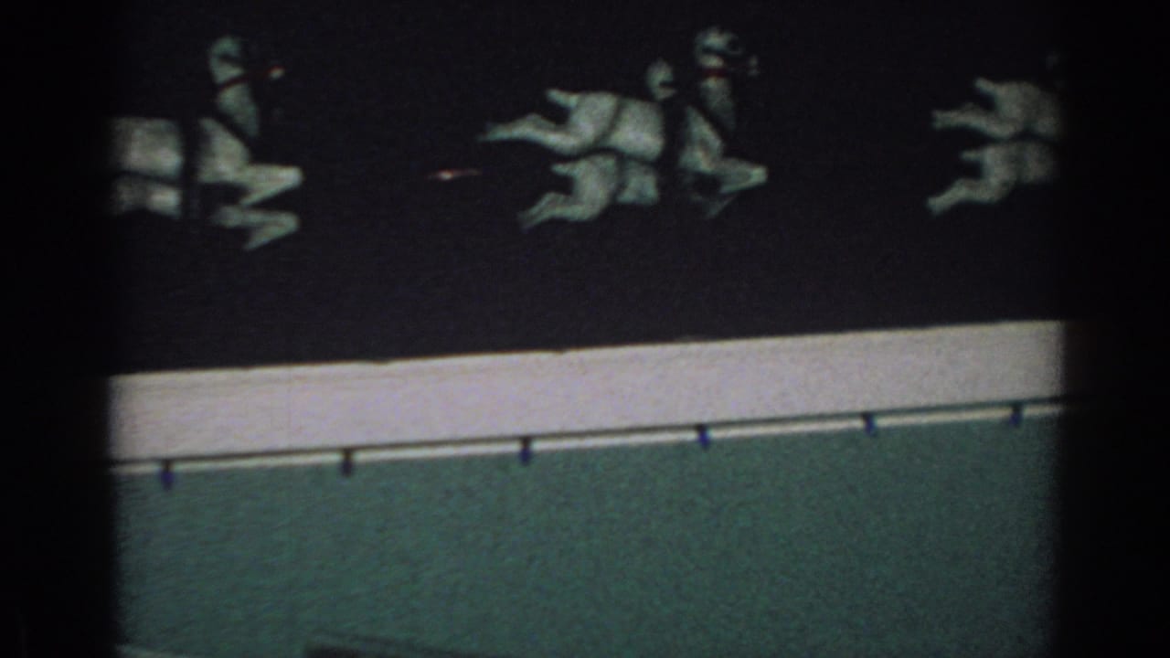 White reindeer decorations on a dark roof above pale trim and greenish wall surface.