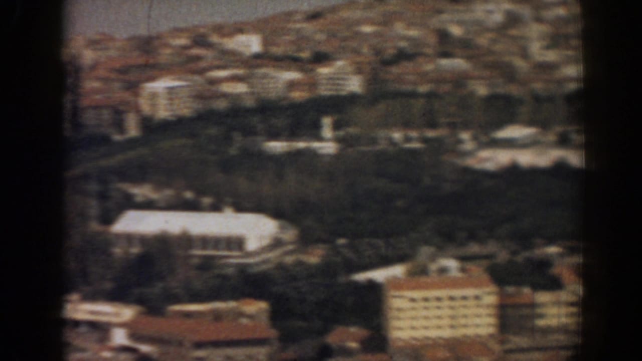 Soft aerial view of city blocks, trees and pale buildings near the coast.