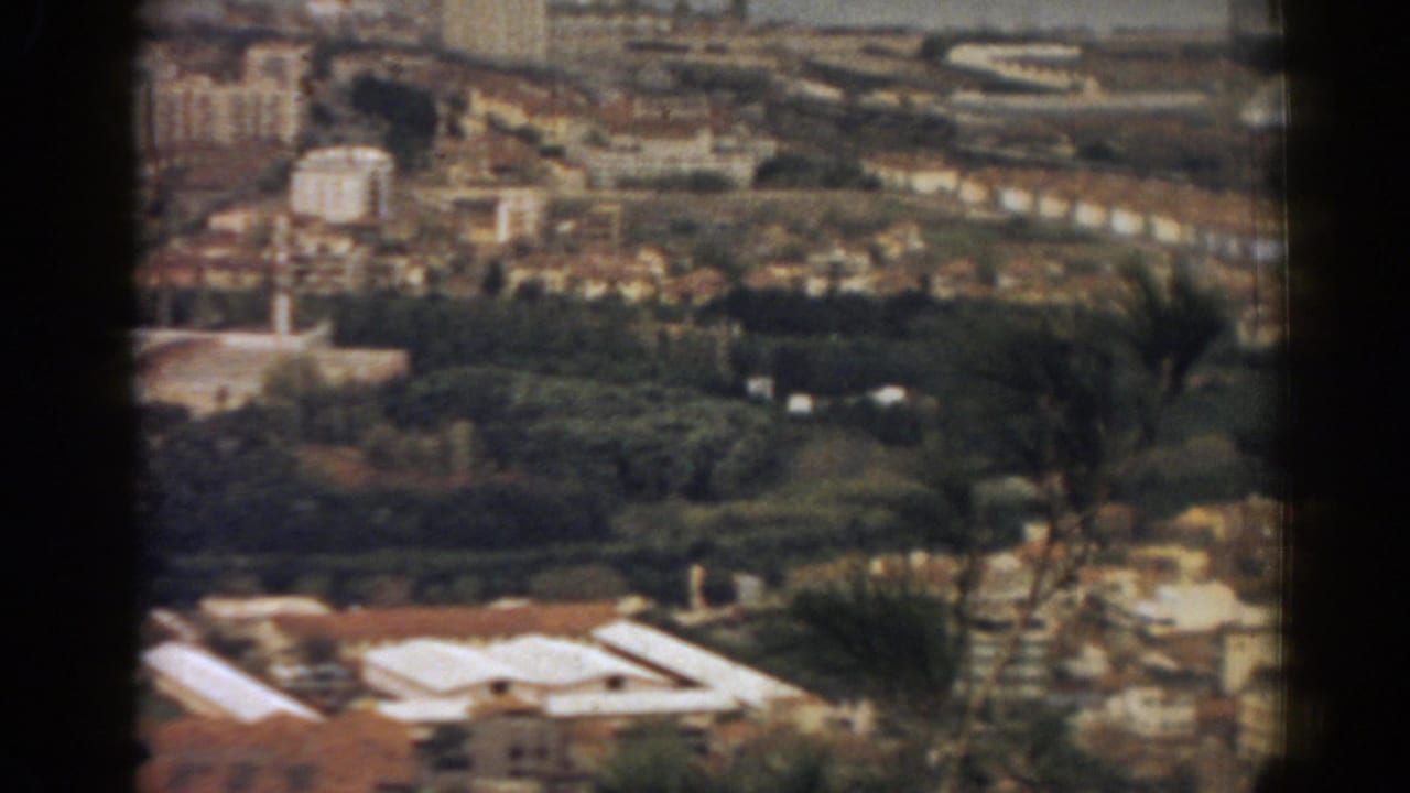 1962 Izmir overlook view with terracotta rooftops, dark trees, hillside greenery, and distant coastal water in soft 8mm color.