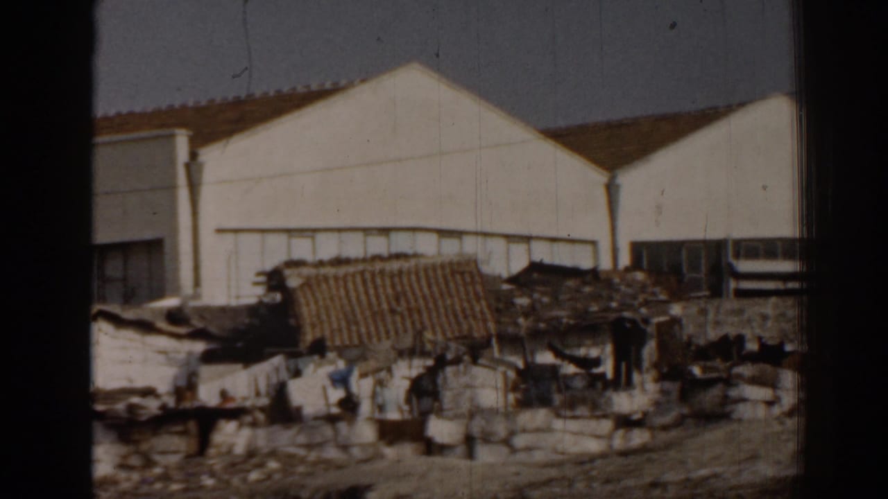White industrial buildings behind rubble, rough walls, shacks, and chickens in an open yard.