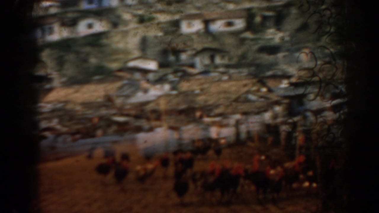 1962 Izmir home-movie frame showing a distant flock of poultry below hillside buildings, with soft focus and warm faded color.