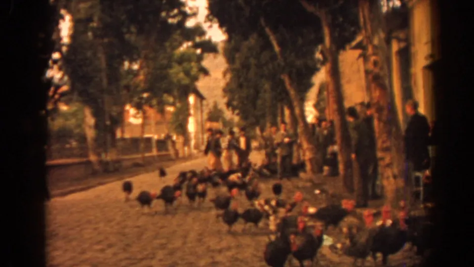 1962 Izmir home-movie view of a large poultry flock crossing a cobblestone street while people watch from the sidewalk.