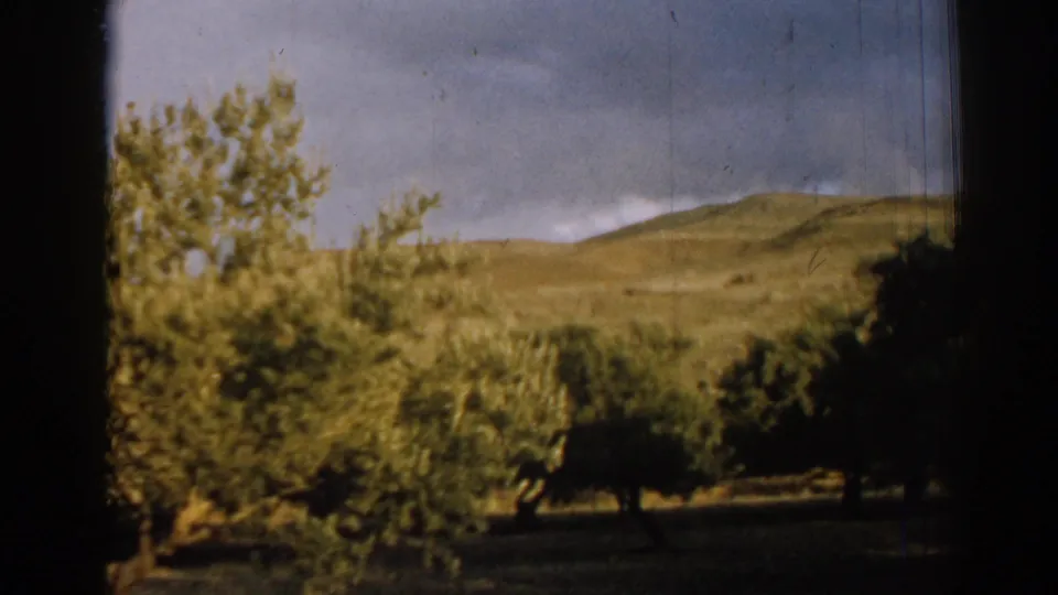 Vintage 8mm frame from Izmir showing leafy trees, shaded terrain, and distant green hills.