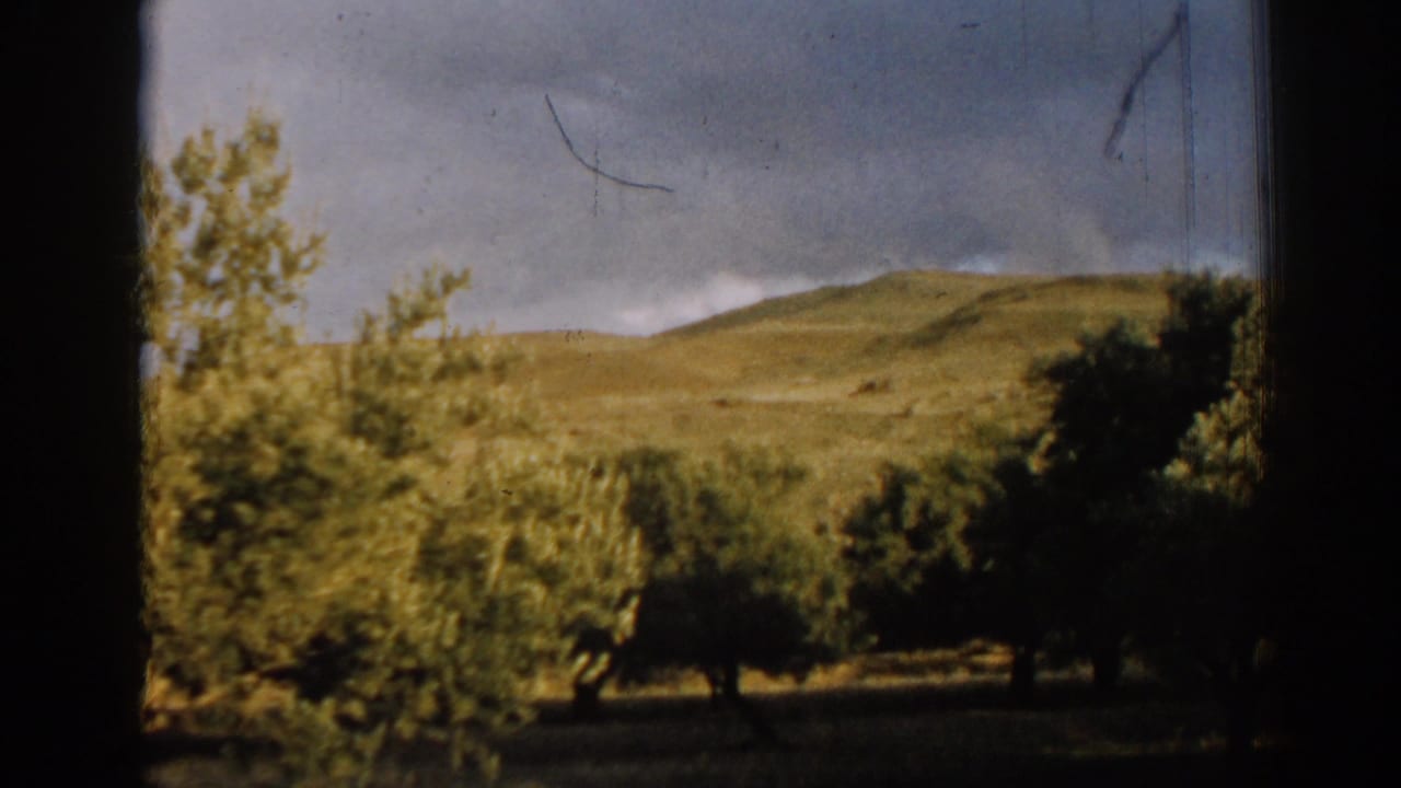 Olive trees and golden hills under a cloudy sky, seen through dark 8mm frame edges.