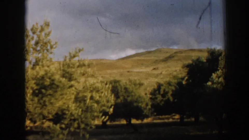 1962 Izmir, Turkey 8mm frame showing olive trees beside rolling hills under a cloudy sky, with no riders visible in this still.