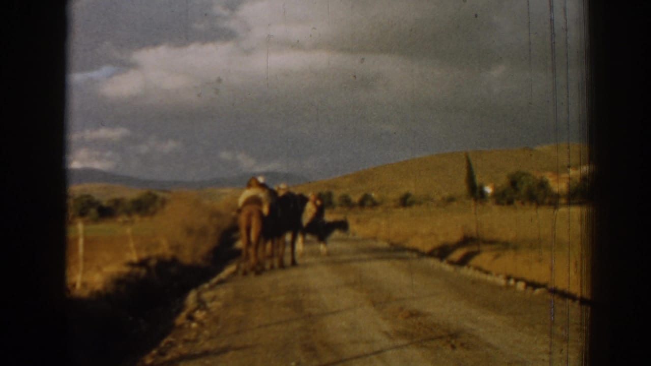 Two riders on donkeys move away along a rural road bordered by hills and trees.