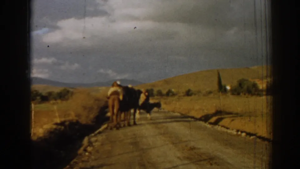 1962 Izmir, Turkey 8mm frame showing distant donkey riders on a rural road, framed by open hills, trees, and visible film wear.