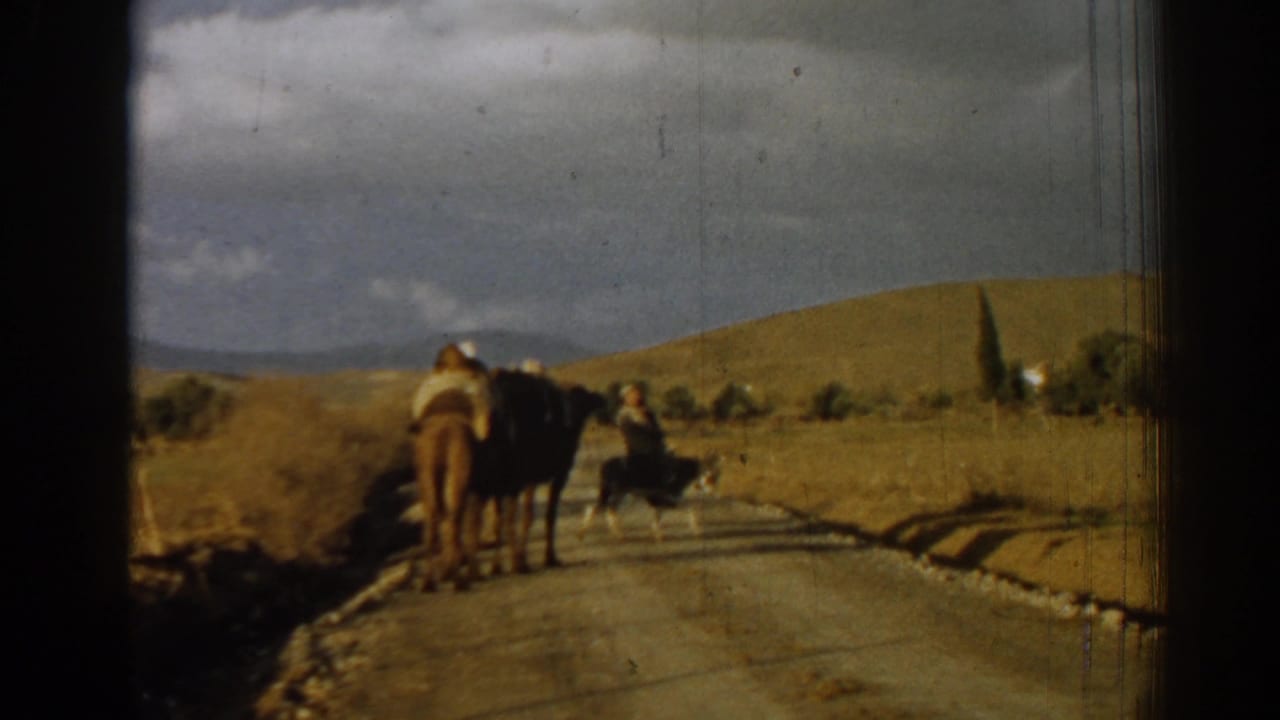 Camel and rider on a rural road with another person ahead in dry hills.