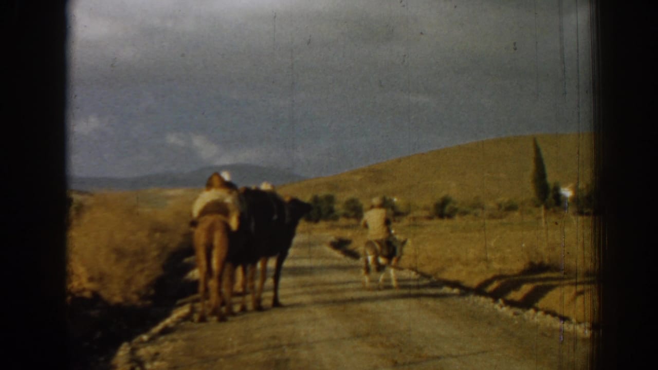 Camel and rider follow a person walking or riding ahead on a country road.