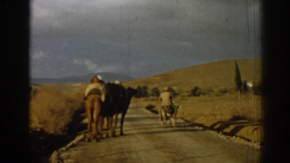 A camel with rider follows a figure along a rural road in the Izmir, Turkey area, with hills and dry fields in view.