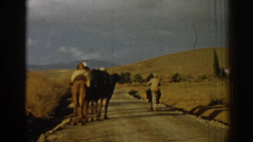 Rear view of a camel rider and a distant figure traveling through dry hilly countryside in 1962 Izmir-region home-movie footage.