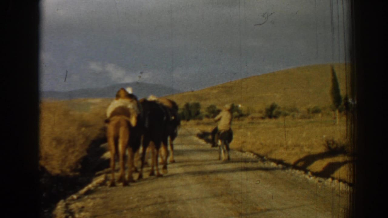 Camels and a distant man move along a rural road through dry hills.