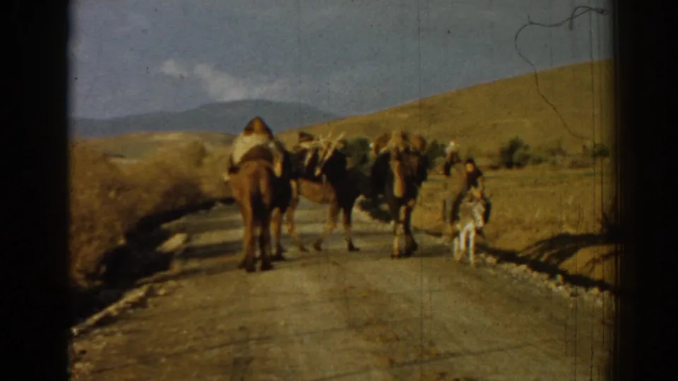 1962 Izmir, Turkey frame showing camels, a man, and a small animal on a rural road with arid hills in the background.