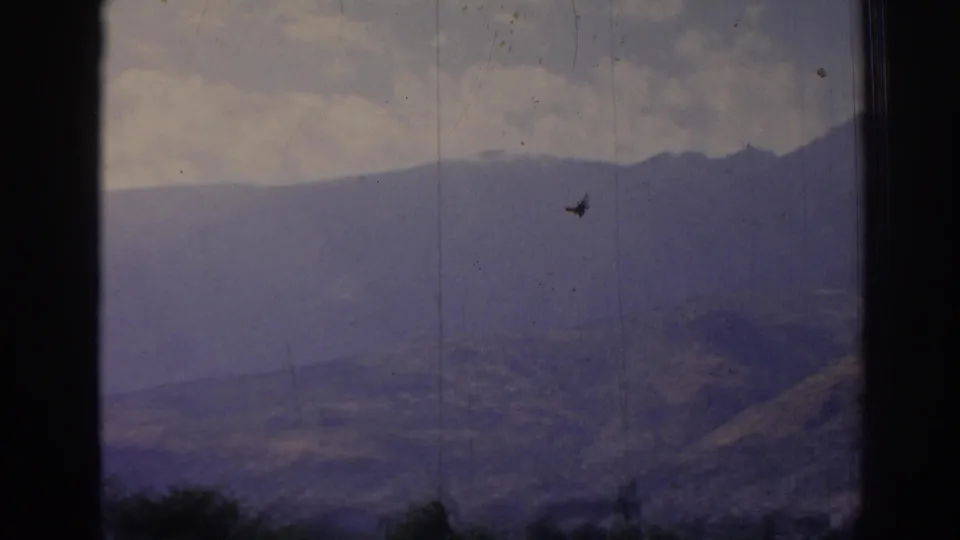 Late frame of the 1962 Izmir valley view, with a window edge, hazy mountains, and tree silhouettes below.