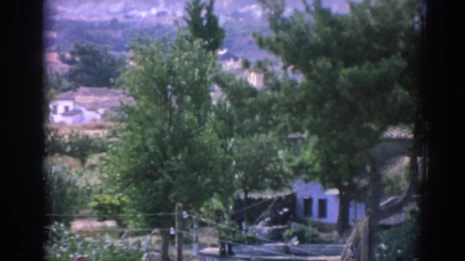 1962 8mm frame from Izmir showing leafy trees, a small white shack, utility lines, and low hillside buildings in soft focus.