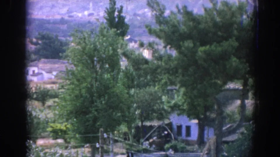 1962 Izmir-area frame with dense green trees, a partly visible white house, simple fencing, and hazy hills beyond.
