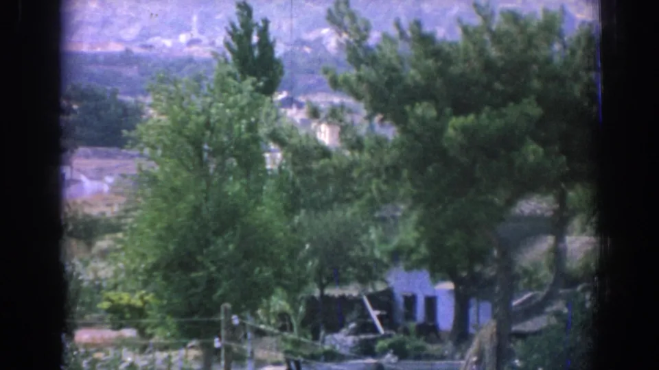 1962 Izmir-area frame of trees and branches partly covering a white house, with a soft hillside landscape in the distance.