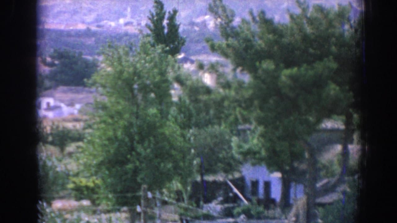 Trees and white buildings seen through a dark vehicle window frame.