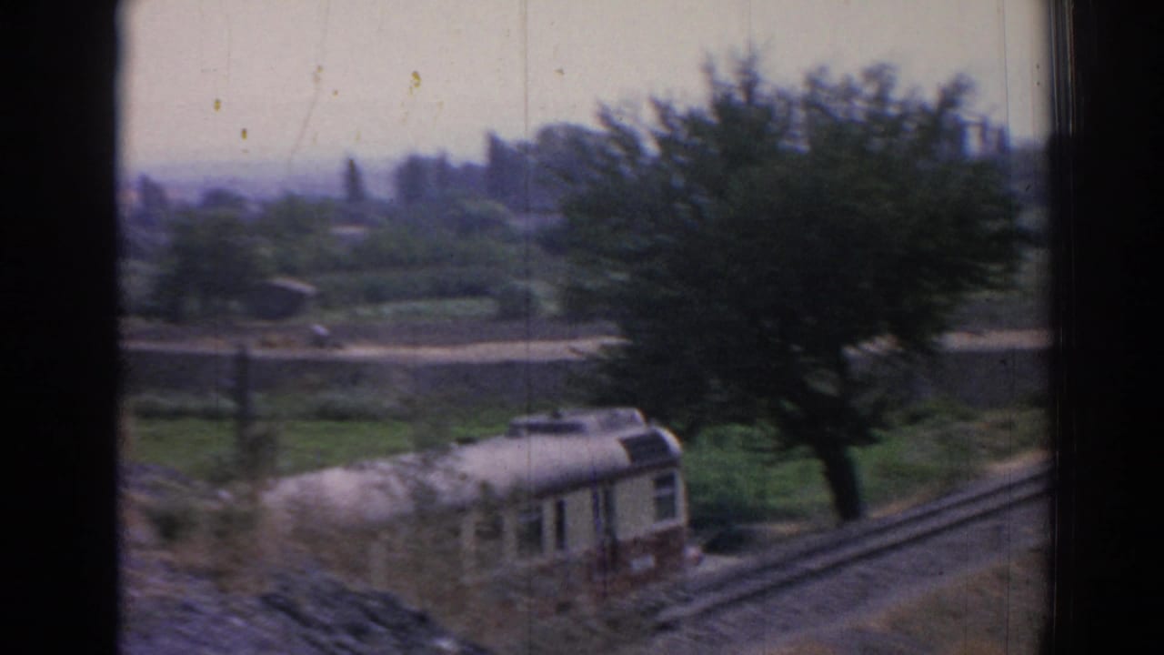 Passenger train moving along tracks beside a large tree and open fields.