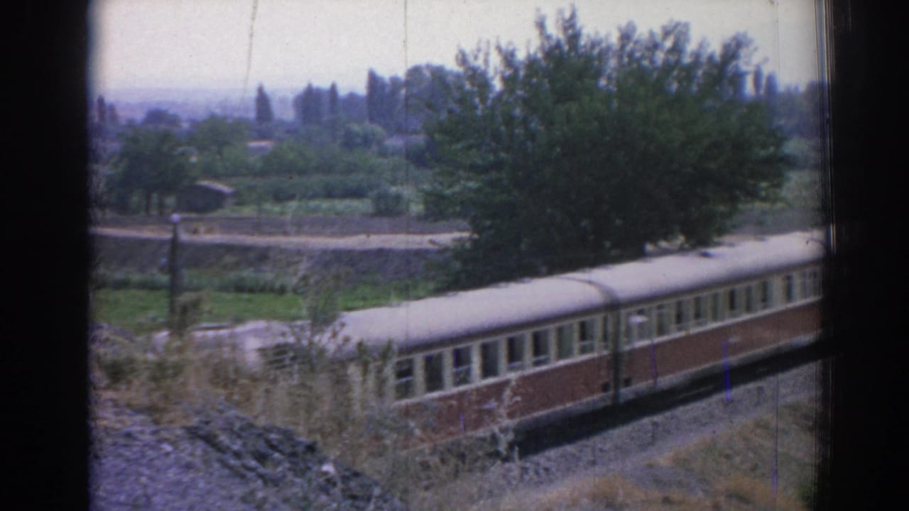 Passenger railcar passing beside green fields and trees.