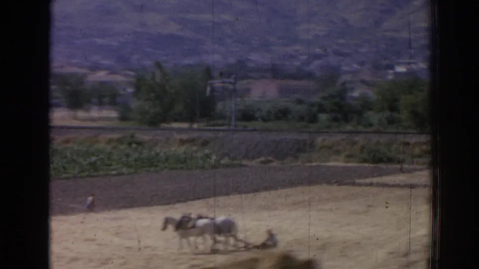 1962 Izmir home-movie frame showing two white horses pulling a plow across a dry rural field below distant hills.