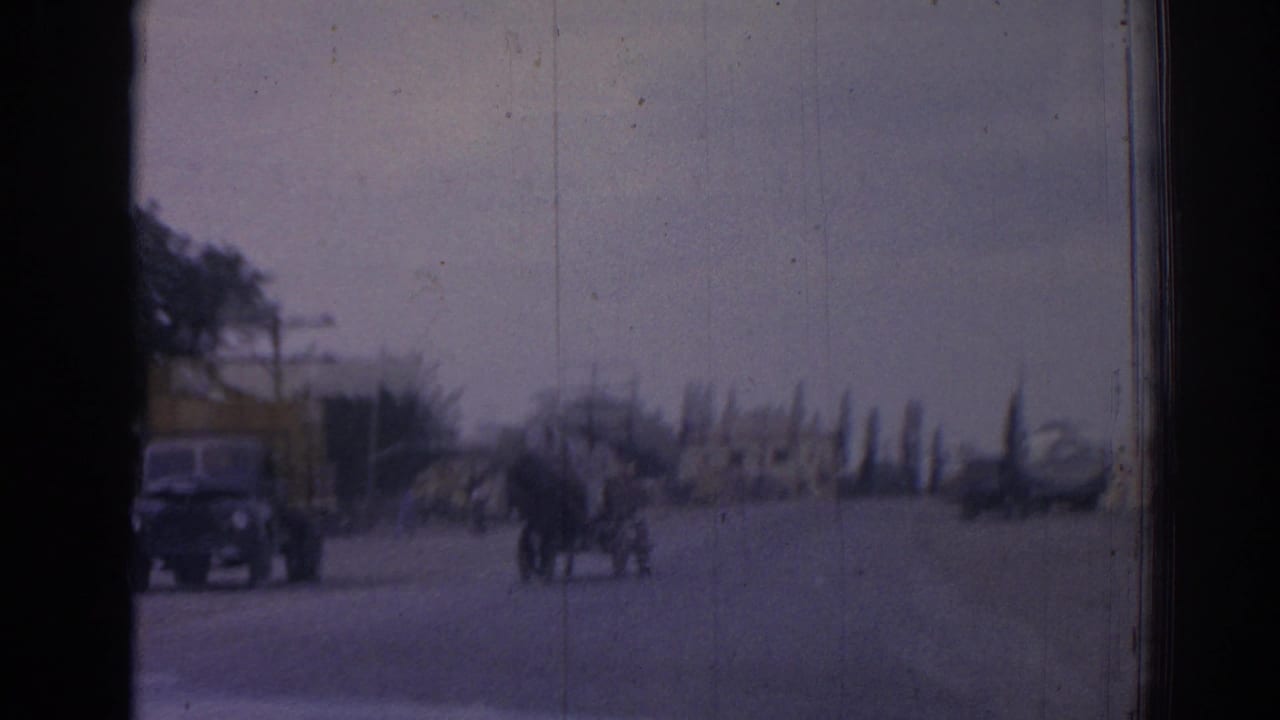 Horse-drawn carriage and cars pass on a broad street with trees and low buildings.