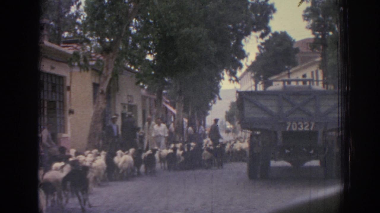 Sheep move along a tree-lined street beside a parked truck and watching bystanders.