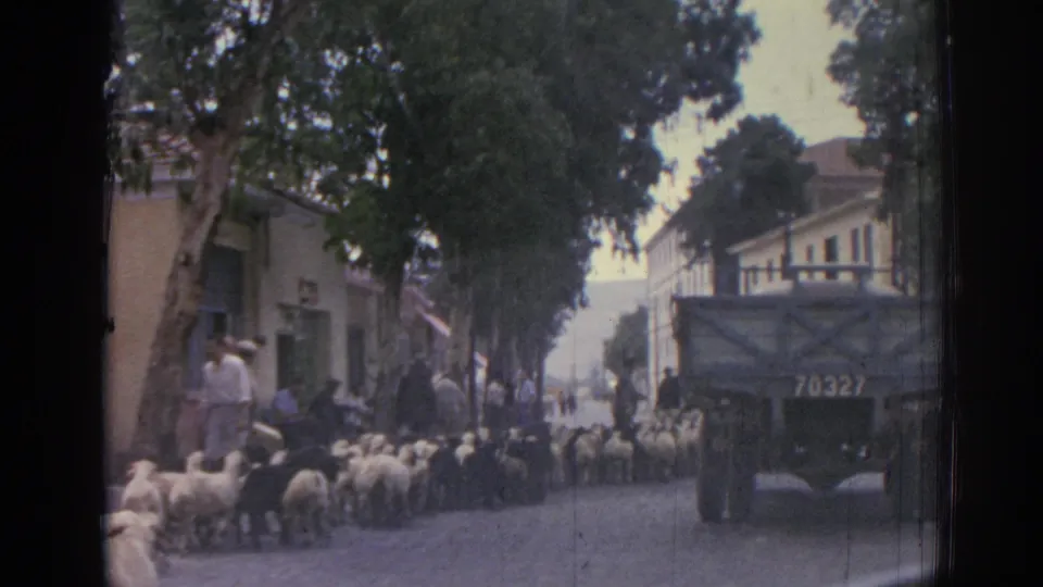 In 1962 Izmir, Turkey, the flock advances along a shaded street with men watching near building fronts and the numbered truck ahead.
