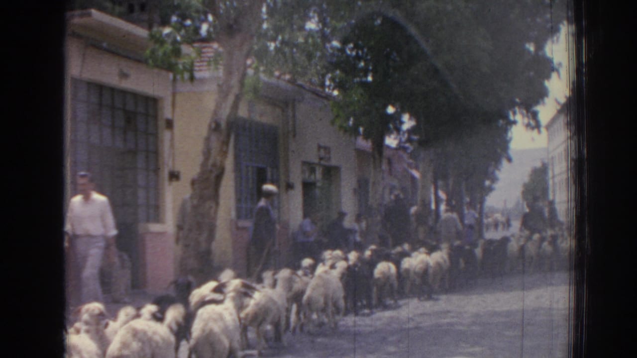In Izmir, Turkey in 1962, sheep are herded down a street while residents watch from the sidewalks.