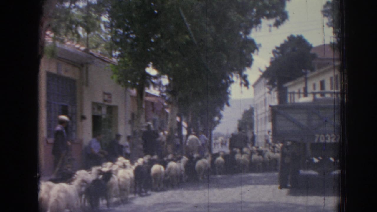 A flock of sheep passes a street corner with a large numbered truck nearby.