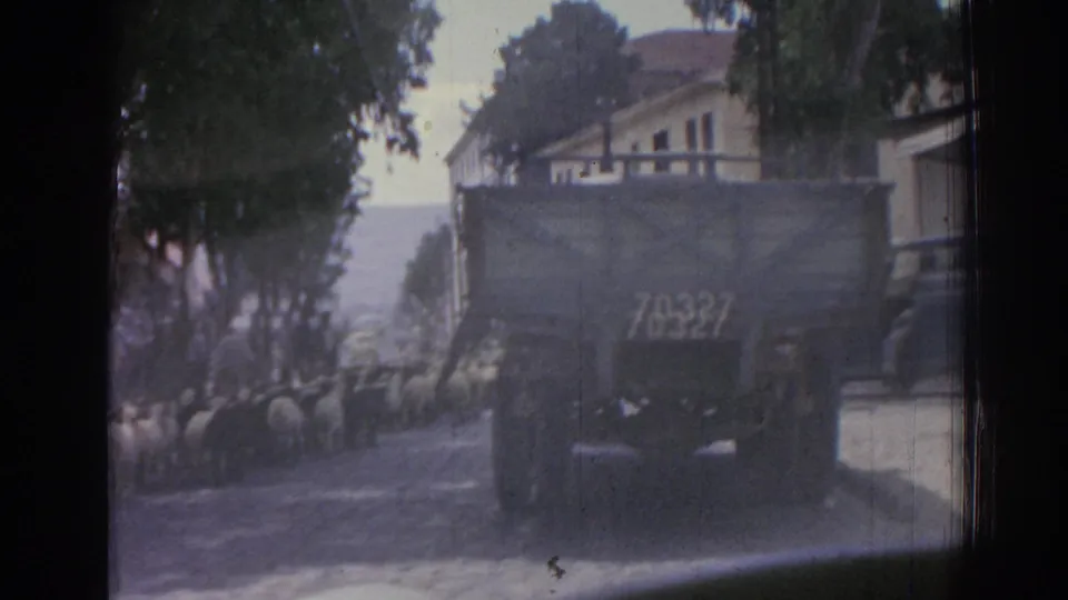 The rear of a numbered military-style truck dominates the Izmir street view, with sheep continuing along the road in 1962.