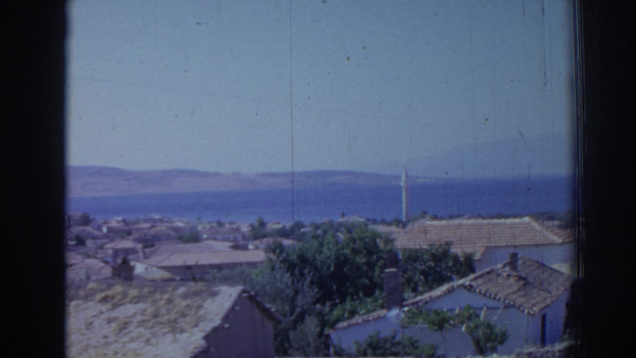 Elevated coastal view with white buildings, trees, sea, distant hills, and a minaret.