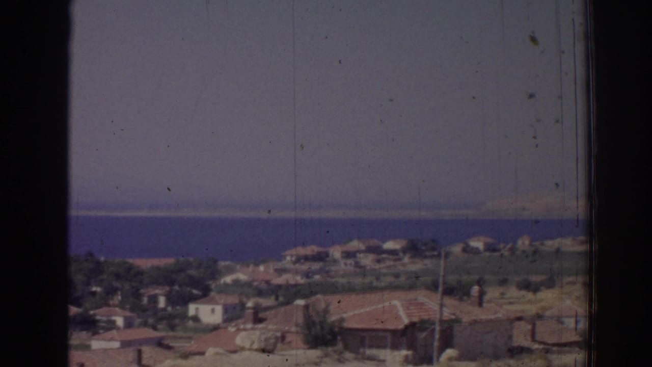 Coastal houses near Izmir, Turkey, with scattered greenery, utility poles, and the sea stretching behind them.