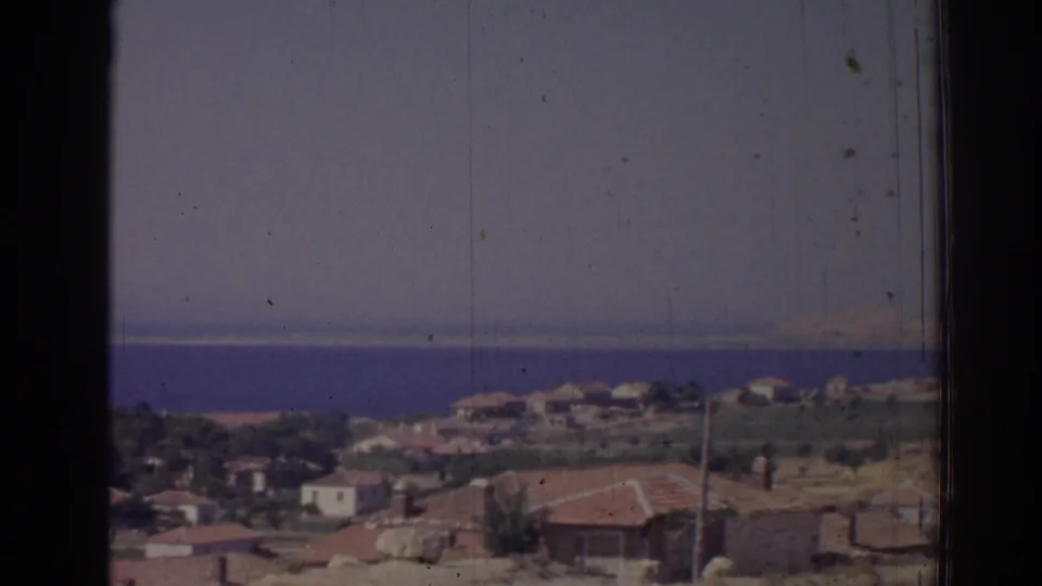 Coastal houses near Izmir, Turkey, with scattered greenery, utility poles, and the sea stretching behind them.