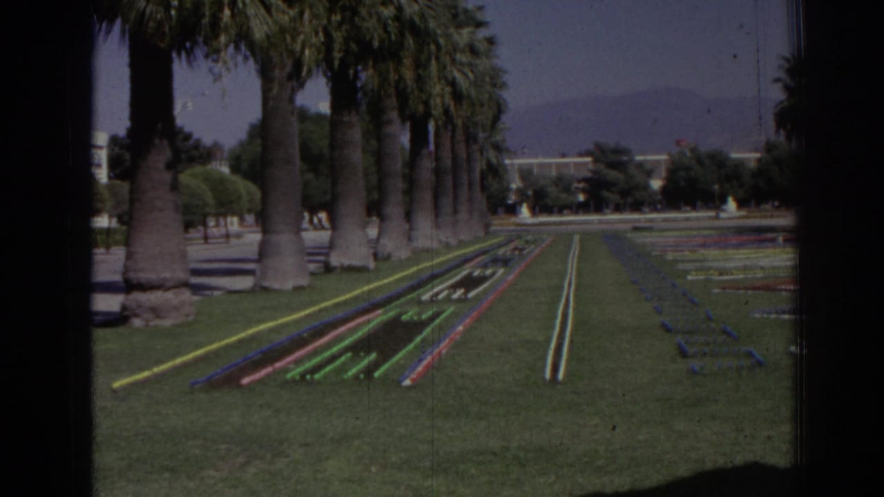 Palm-lined lawn with long geometric flower beds and distant mountains.