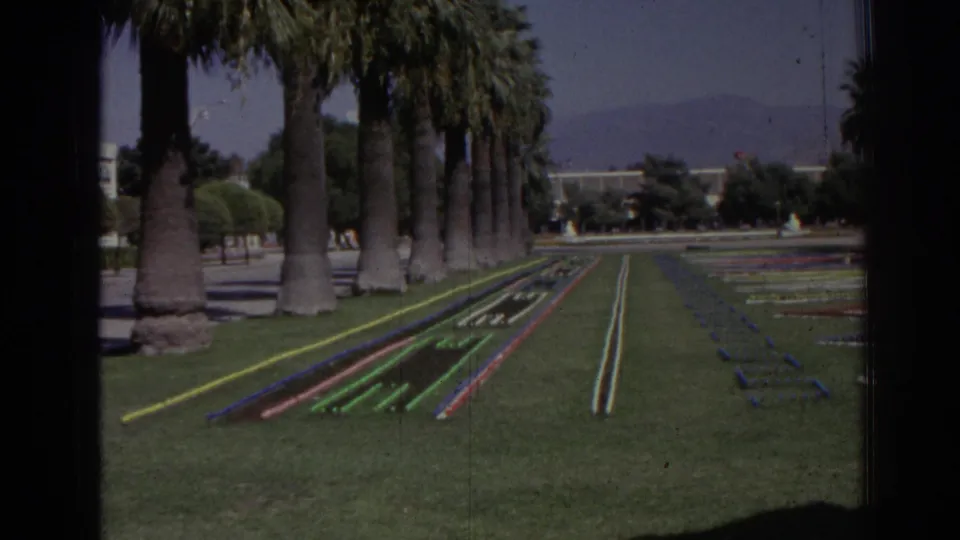 1962 Izmir frame of a manicured public lawn, palm rows, colorful linear flower beds, and hazy hills beyond.