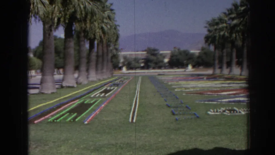 1962 Izmir home-movie view of patterned floral displays on a lawn, framed by palms and distant hills.